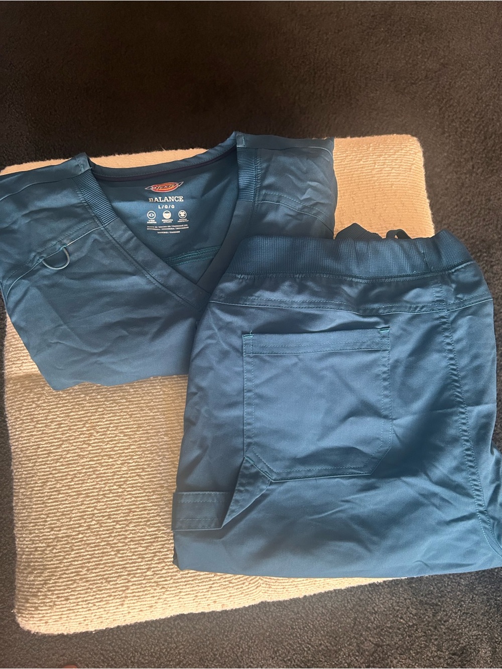 Dickies Scrub Set